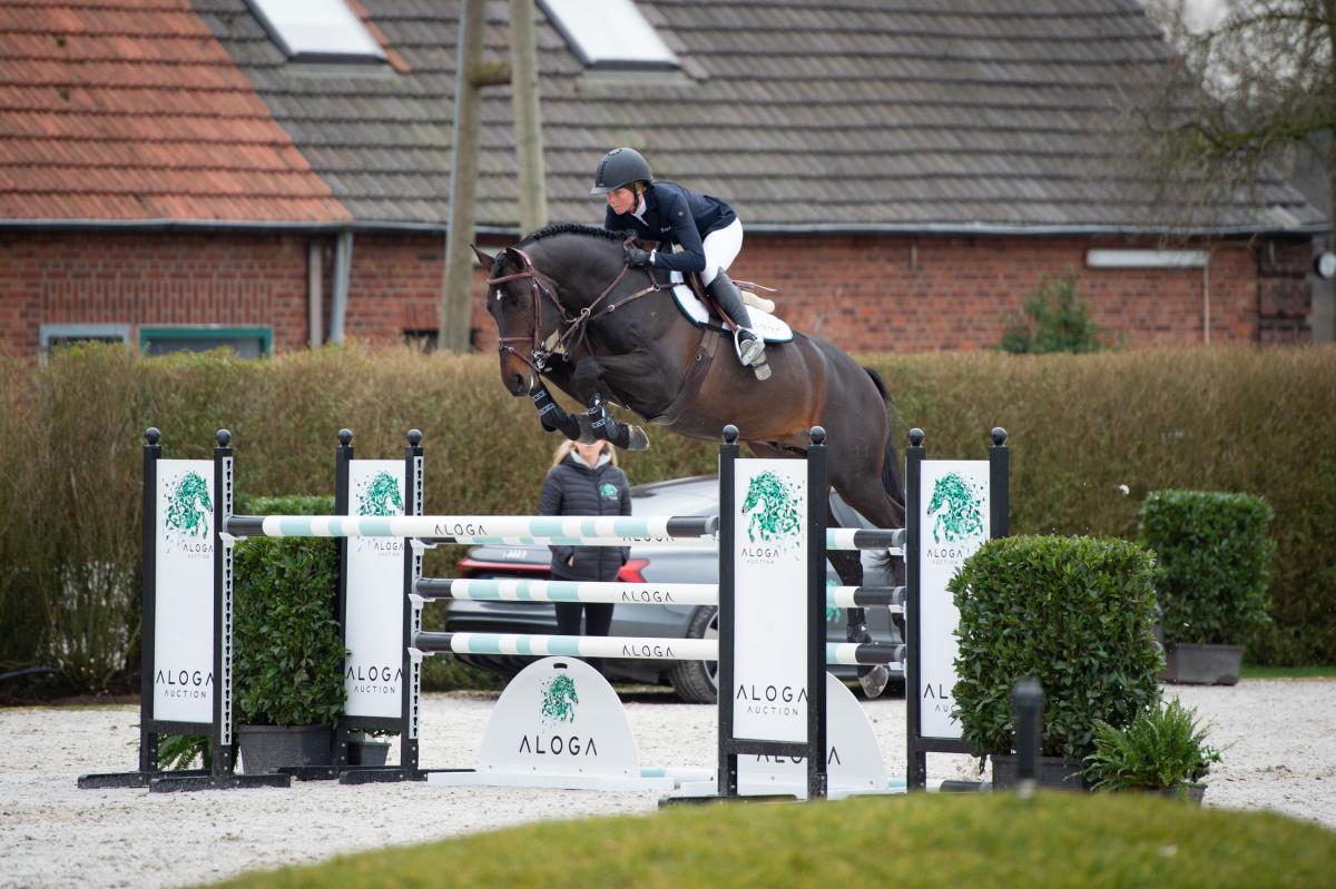 Obolensky son sold for 460,000 euros during Aloga Auction